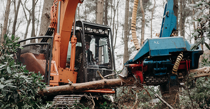 our timber harvester